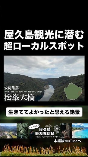 [Highlight] Introducing local spots in Yakushima you won't find in any guidebook!