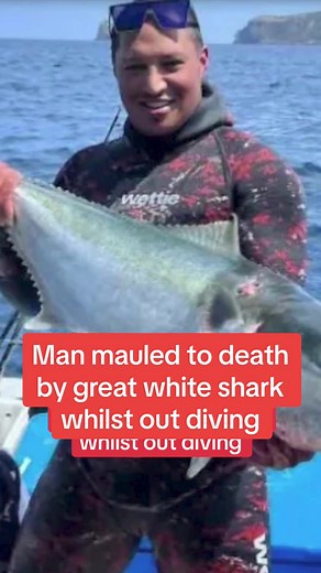 Man mauled to death by great white shark whilst out diving #fyp #dailymirror #breakingnews