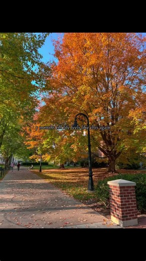 Embracing Fall Vibes: A Soulful Retreat