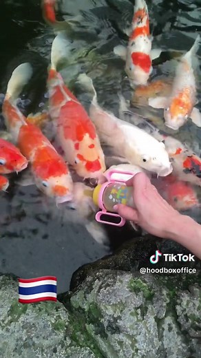 HOOD BOX OFFICE on TikTok