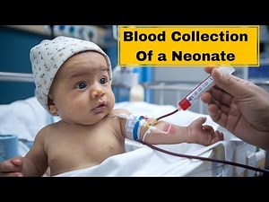 BLOOD COLLECTION METHOD OF A NEONATE IN NICU || HOW TO COLLECT BLOOD OF NEWBORN ||