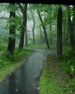 12K views · 688 reactions | Beautiful RainyMorning ♥️ | Rain Lovers | Facebook