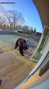 Too close for comfort! 😱🐻 She used up all her luck for the year right there.#USAreels #USAstories #BearAttack #SurvivalMode 🎬This video was produced by Network Media and BlueAxis | The Imaginary Art Exhibit
