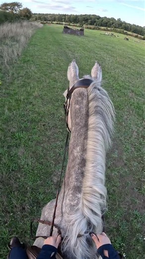 Laura Robson equestrian on Reels
