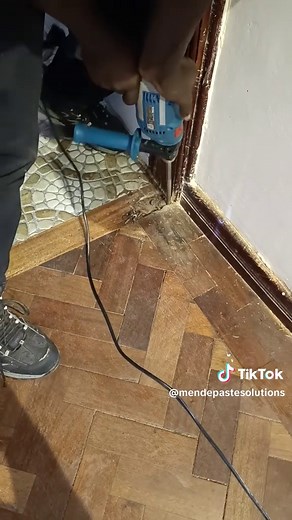 How to Permanently Get Rid of Termites | Pest Control Kenya