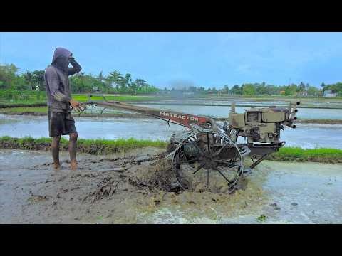 Hand Tractors Using Wooden Harrow to Level the Watered Topsoil