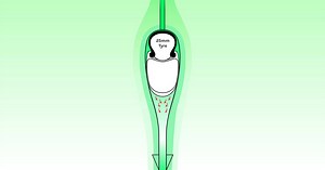 Going faster, for the same effort