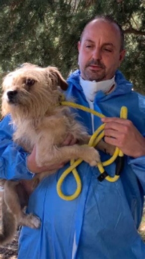 300 animals rescued in one of LA County’s biggest cases