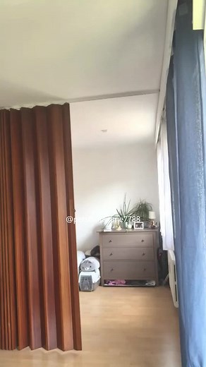 Funny Cat Drifting Compilation - Hilarious Kitty Videos