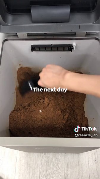 🍎 🍌= Compost? (Apples & Banana Peels) #zerowaste #reencle #composting #food #ecofriendly #shorts