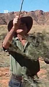 25K views · 83 reactions | Would you eat a hairy caterpillar?  Les Hiddins says Aboriginal people ate them when tucker was scarce and even used their nests to treat burns. Watch more Bush Tucker Man: ab.co/3EZE0zU | ABC Australia | Facebook