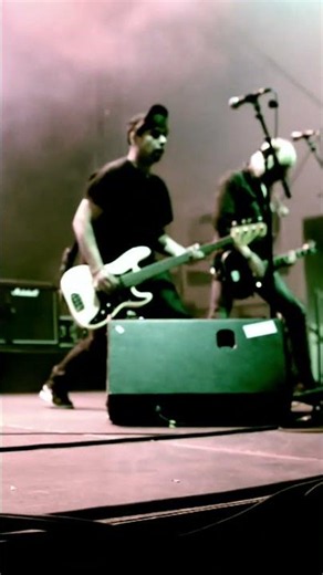 NARCOLAPTIC - Never Fall In Line | #Alternative #Rock #Punk #Music #Live #Performance #NARCOLAPTIC