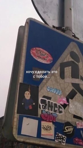 Street Art and Adorable Cats: A Unique Visual Journey