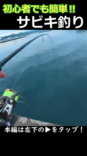 [For Beginners] How to Catch 100 Fish Using Sabiki Rigging [Saltwater Fishing] #fishing #fishing