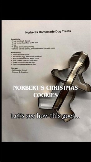 I Made My Dog Christmas Cookies 🍪 (He Had to Think About It) #short #dogshorts