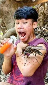 Mosquito SURVIVAL Hacks to Stay Safe? #survival #camping #survivalskills #mosquito