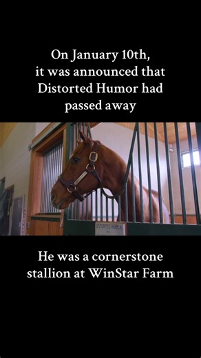 Distorted Humor was an American Thoroughbred racehorse and a successful sire. Distorted Humor himself had a career running middle-distance stakes races. He broke his maiden at Florida's Gulfstream Park and was initially trained by Phil Gleaves as a sprinter/miler. Elliott Walden took over training duties in the spring of 1996 after Prestonwood Farm purchased a half-interest in Distorted Humor. Distorted Humor's career race record was 8 wins, 5 places and 3 shows in 23 starts, with earnings of $7
