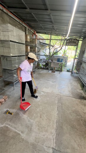 We’ve reorganized our breeding cages here at the indoor aviary! 🦜✨ This reorganization not only helps improve our setup but also gives us more space inside the aviary — making it more comfortable for our birds and for us birdkeepers to easily sweep, clean, and disinfect the area. Enjoy watching our latest update and see how we create a better environment for everyone at the aviary. Don’t forget to like and share this video so we can all learn and grow together in the hobby. Happy Birdkeeping, e