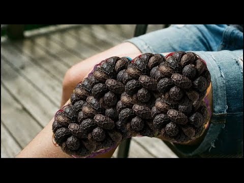 Knee ASMR Sounds for a Smooth, Calm Pause