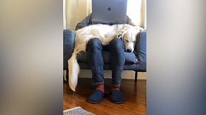 #Quarantinelife trending across social media as Americans adjust to staying home