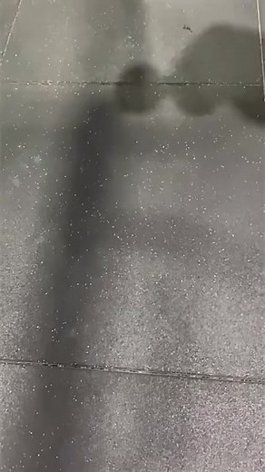 Elvis Impersonator Gym Encounter