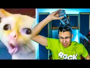 AKO SE NASMEJEŠ, ISPOLIVAJ SE VODOM!!