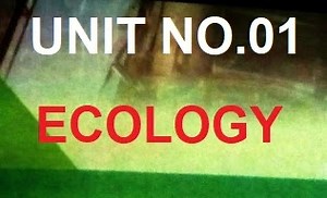 Class 8 General Science Notes: - Unit-1: Ecology: Solved Exercise (MCQs)