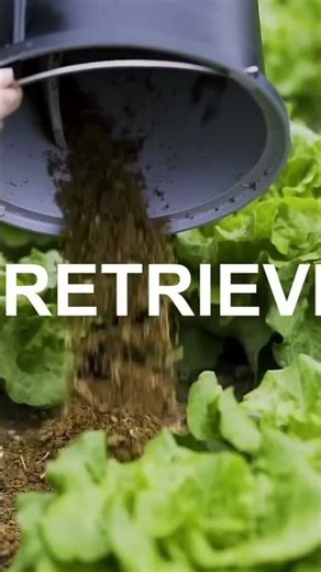 The Easiest Way to Choose the RIGHT Trash Compactor Without Wasting Money