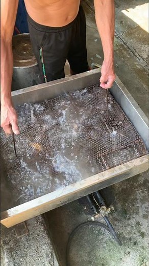 Preparing Rice Field Rats for Roasting! 👀