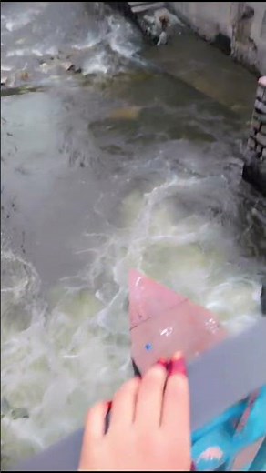 #shocho ke jheelo ka shr ho 🥰🥰#