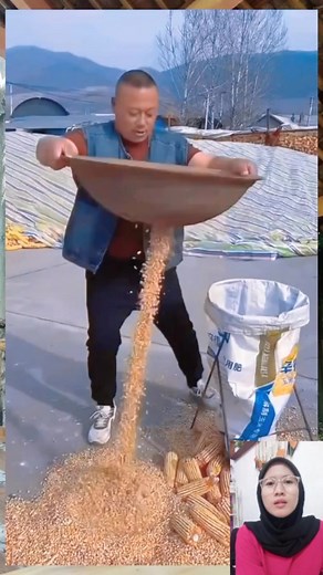 Corn bagging machine #reels #fyp | Ikke Pramata