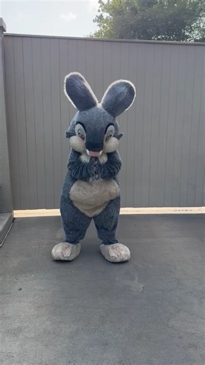 6.3K views · 119 reactions | Look at the cute bunny butt  | Chip and Company | Facebook