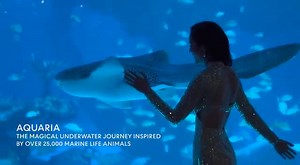 29 reactions · 13 shares | We are pleased to inform you that the 13th WBPF World Bodybuilding and Physique Sports Championship will be held from 6th to 12th December 2022 in Phuket, Thailand. The said championship is organized by the Thailand Bodybuilding and Physique Sports Association under the patronage of the World Bodybuilding and Physique Sports Federation. #wbpf #abbf #bodybuilding #sports #wbpfchampionship #worldchampionship #worldchampion | WBPF_Championship | Facebook