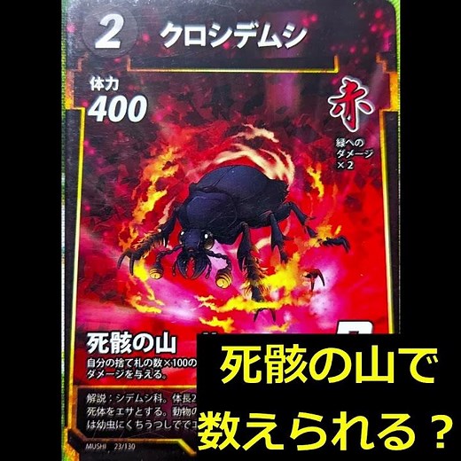 [Insect Divine Artifact] Official Ruling: Black Carrion Beetle #InsectDivineArtifact #Daiso #Waka...
