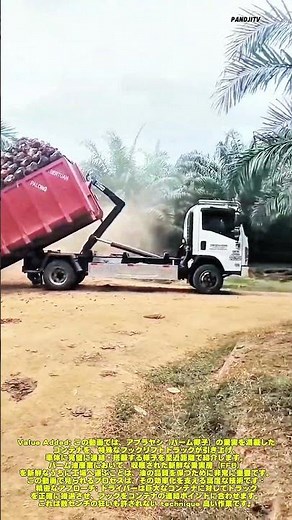 効率的な収穫：パーム油農園で満載のコンテナを引き上げる高度なトラック。#harvest #shortsfeed #farmlife #truck #work #smartharvesting