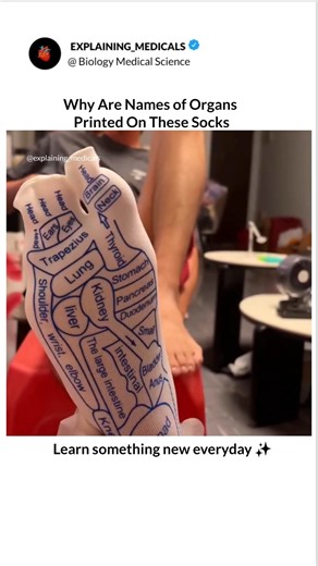 One foot, so many “body zones” 😳#Reflexology #ReflexologySocks #FootReflexology #FootMassage #Feet
