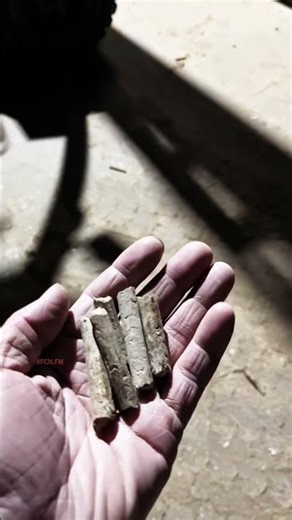 Wood fuel pellets granulator making machine amazing equipment #fcnfm #pelletmachine