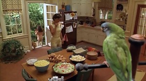 Compartir y seguir para ver Paulie el loro película completa gratis | DG Garcia