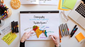 Understanding Basic Demographics: Lesson Overview