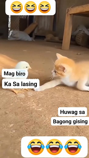 Maka Wala problema sila tan-awon😂😂 #funnyreelsvideo | Edwin Sinang Jr.