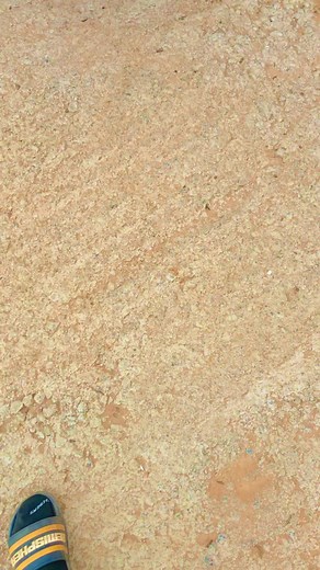 Outdoor Fashion: Stylish Outfit for Walking Adventures