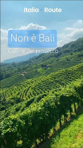 Queste colline sono Patrimonio UNESCO talmente sono stupende. Conegliano e Valdobbiadene