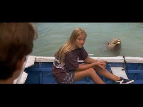 FLIPPER (1996) DUBLADO