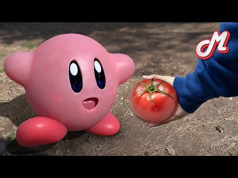 【Real-life Kirby】 I gave Kirby a tomato...