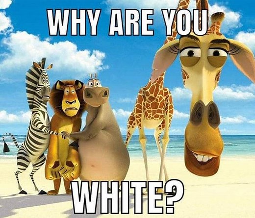 Why Are You White? | Melman says San Diego