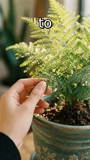 Plants Talk Underground! How Your Garden's Silent Conversation #slop