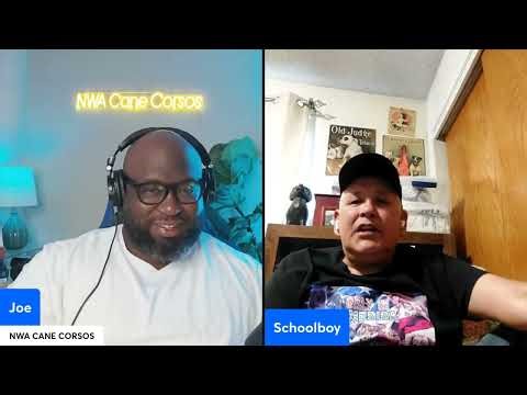 Inbreeding & Bloodlines: Is " Fresh Blood" The Only Way To Save The Breed: Vito Alu & Schoolboy