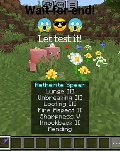 How many enchantment are use for max spear #minecraft #gaming #minecraftmemes #viralshorts