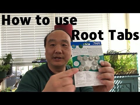 How to use Root Tabs