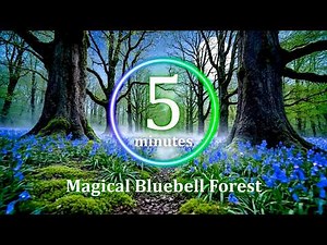 ⏳ 5 Minute Timer | Bluebell Forest 🌸 Calm Music for Focus